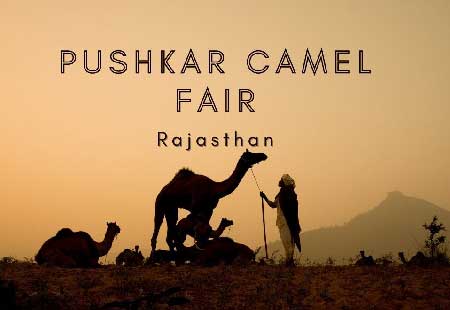 Pushkar Camel Fair