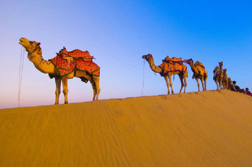 11 Days - Offbeat Rajasthan Tour